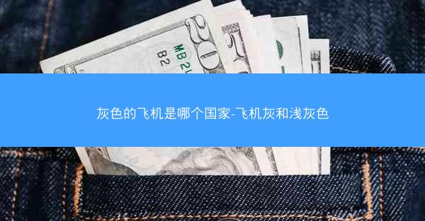 灰色的飞机是哪个国家-飞机灰和浅灰色