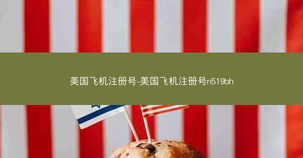 美国飞机注册号-美国飞机注册号n519bh