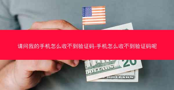 请问我的手机怎么收不到验证码-手机怎么收不到验证码呢
