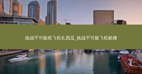 挑战不可能纸飞机扎西瓜_挑战不可能飞机航模